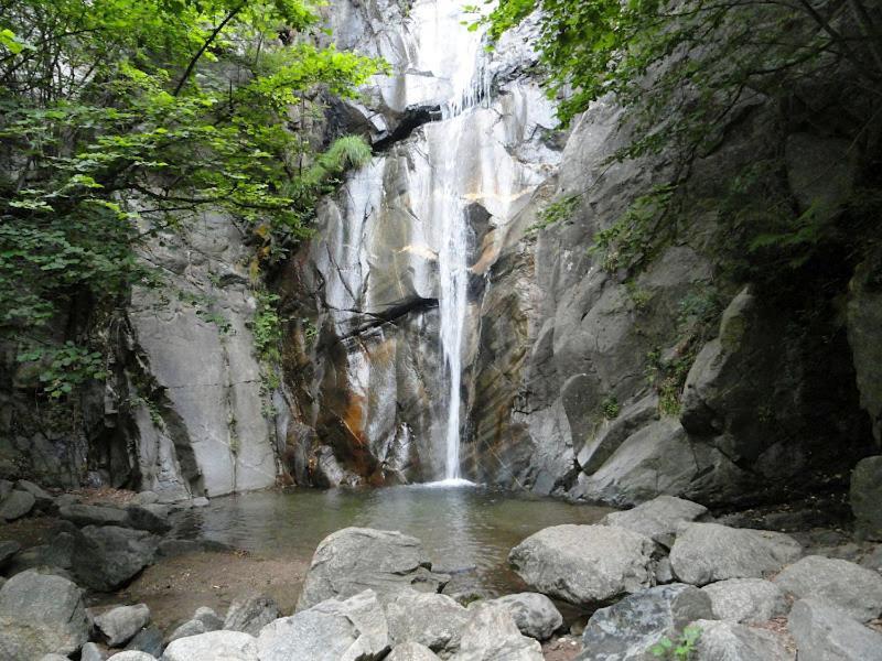 Allotjament Taga Ribes De Freser Exterior foto
