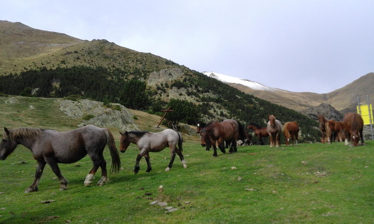 Allotjament Taga Ribes De Freser Exterior foto